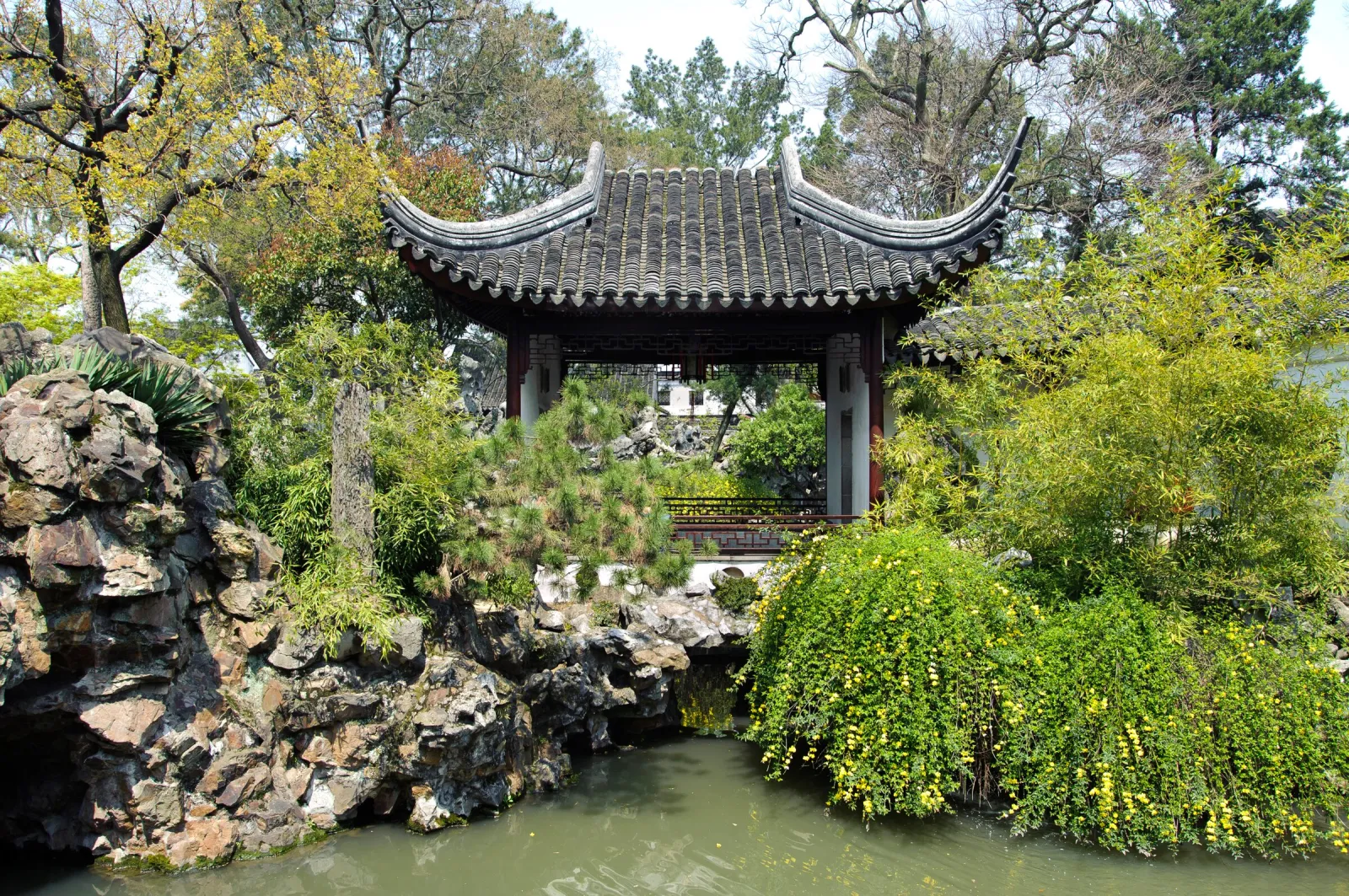 Lion Grove Garden