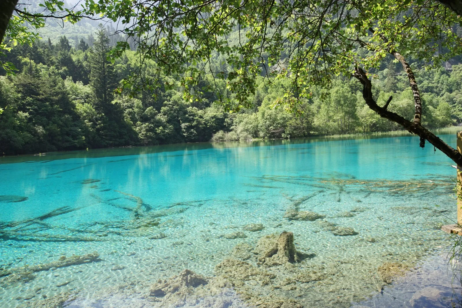 A lake in Jiuzhaigou