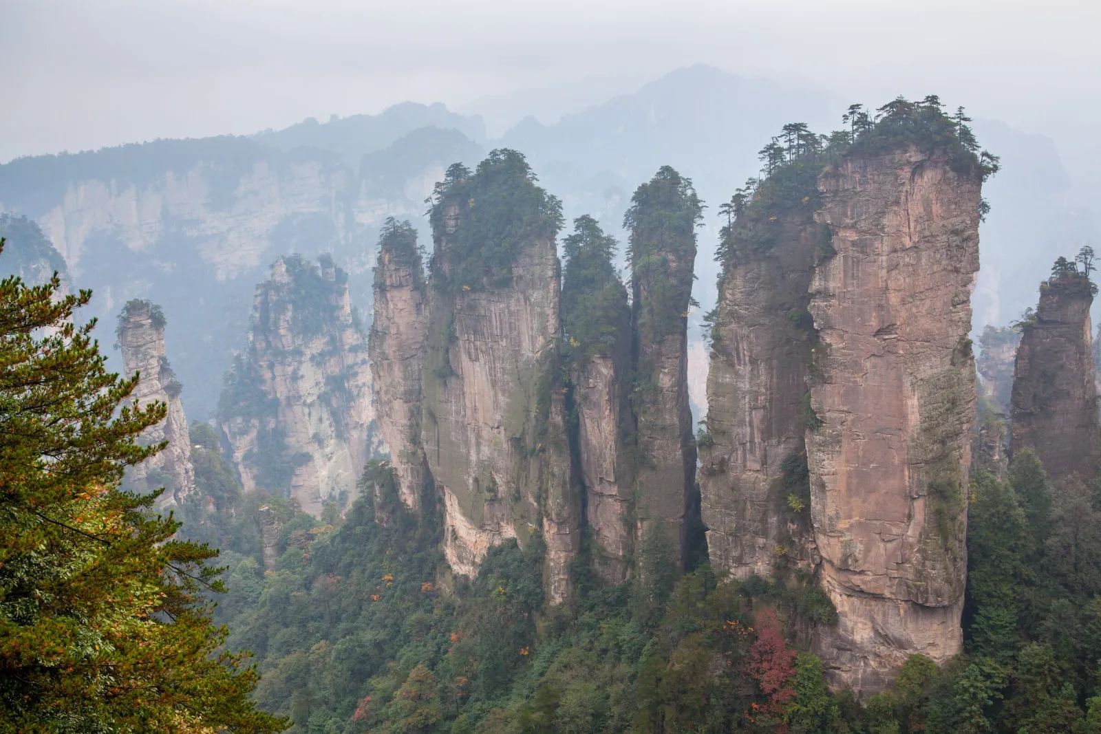 Sandstone pillars at Zhangjiajie