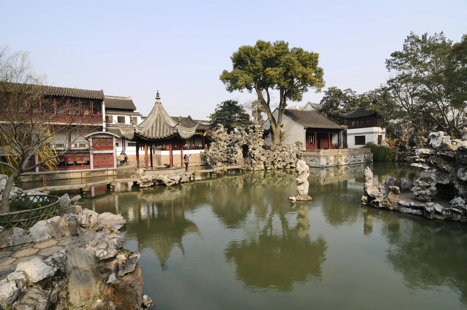 Lion Grove Garden