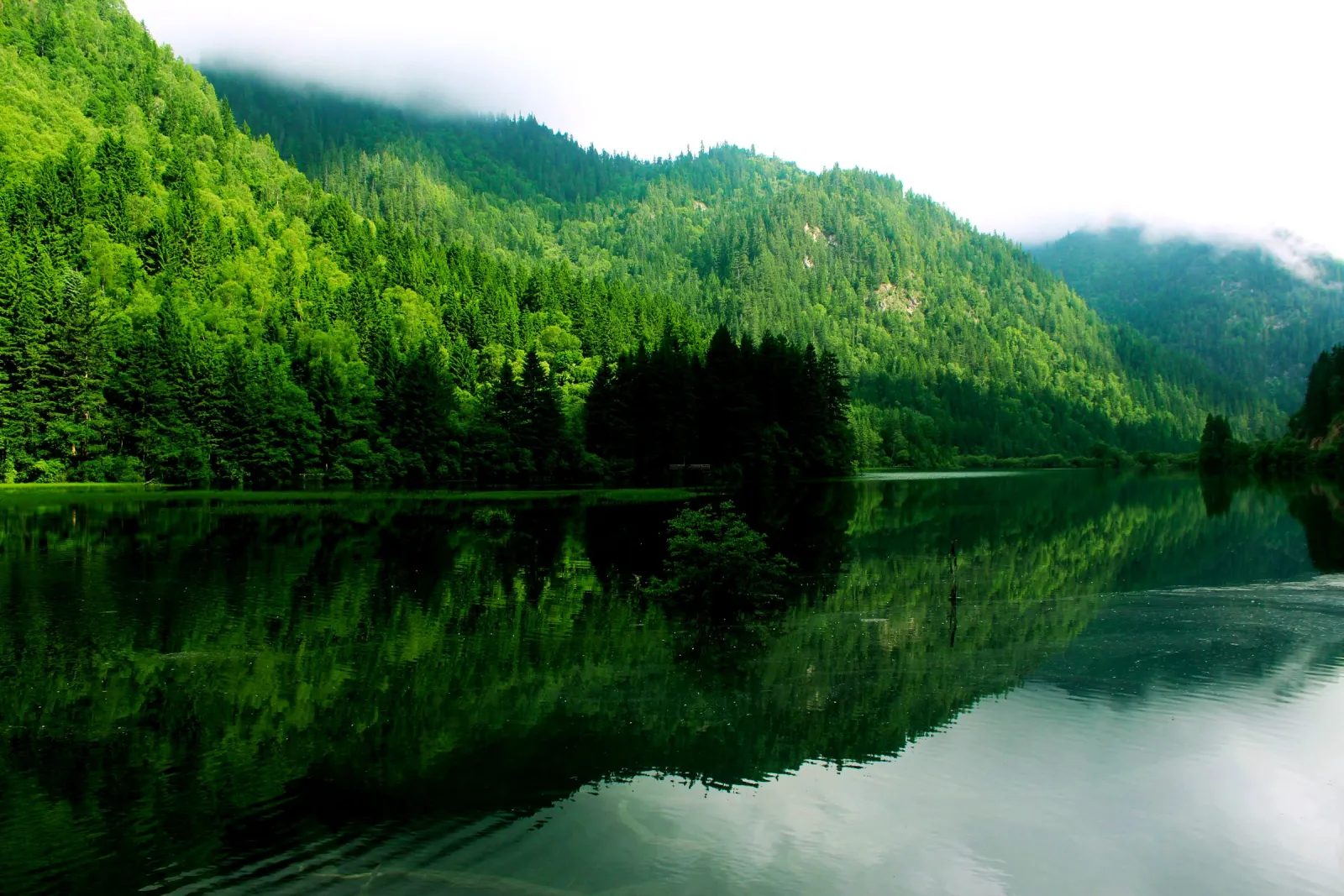 A lake in Jiuzhaigou