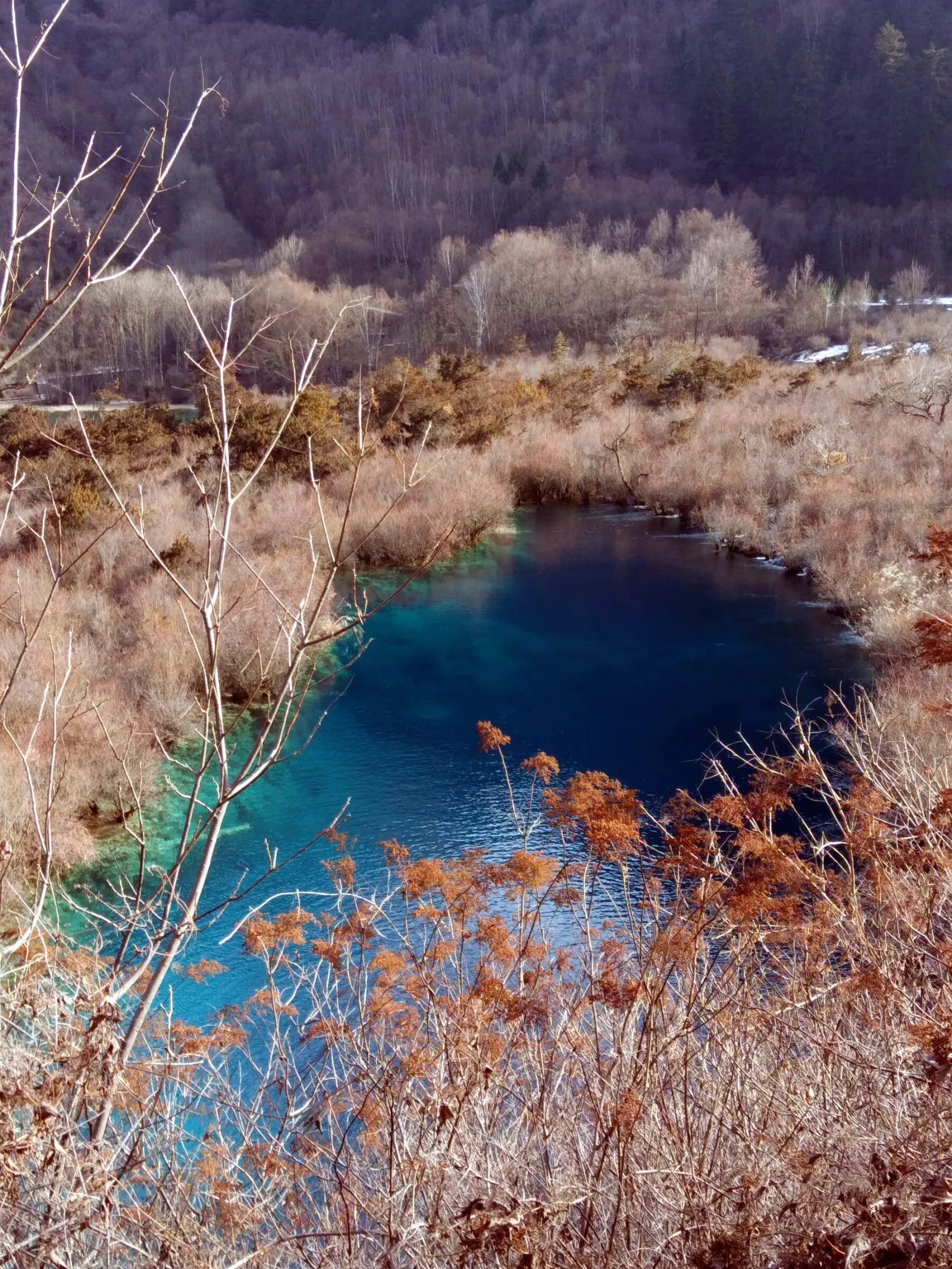 A lake in Jiuzhaigou