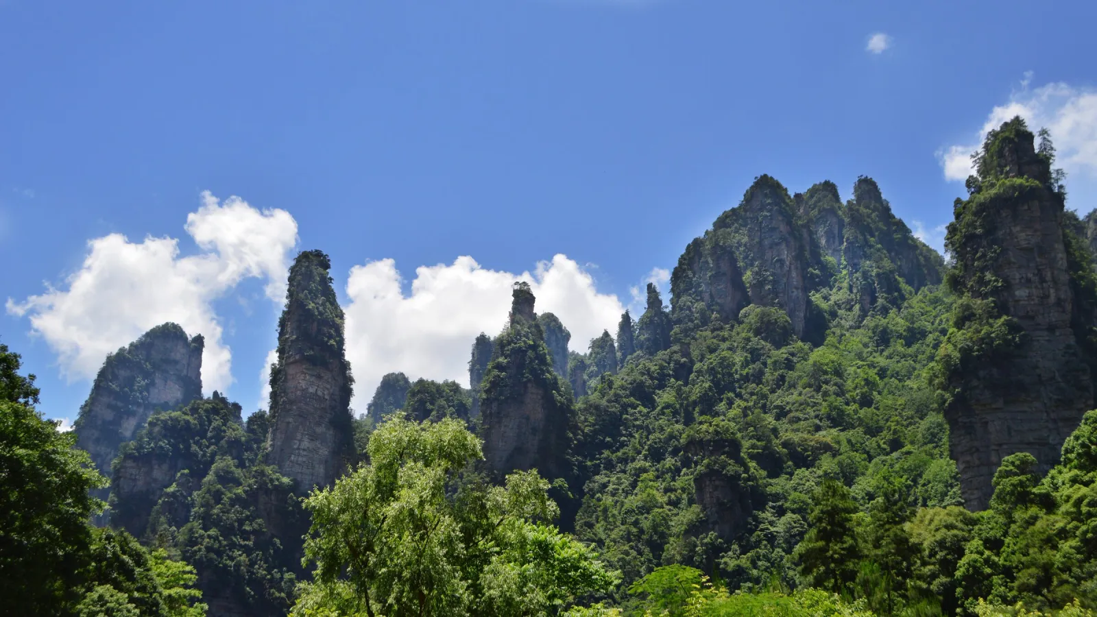 Sandstone pillars at Zhangjiajie