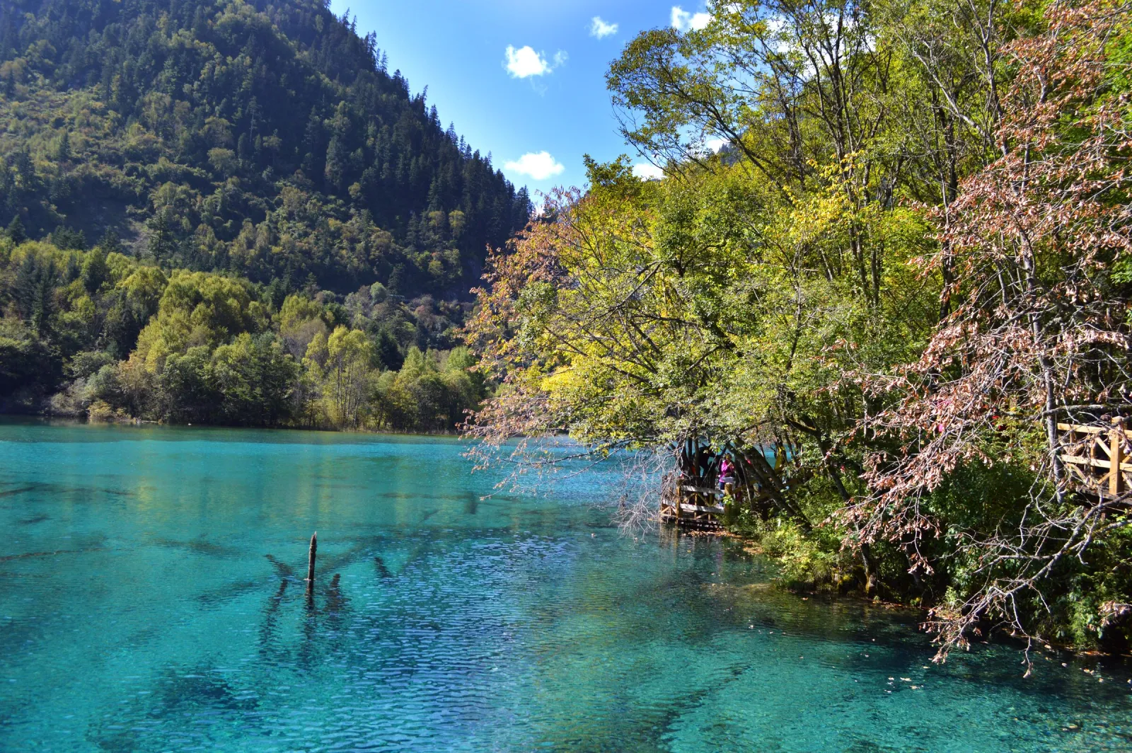 A lake in Jiuzhaigou