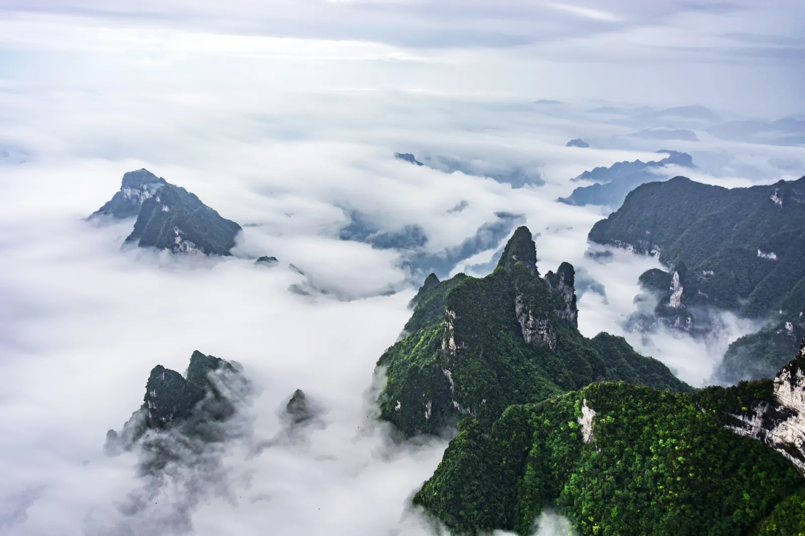 Sandstone pillars at Zhangjiajie