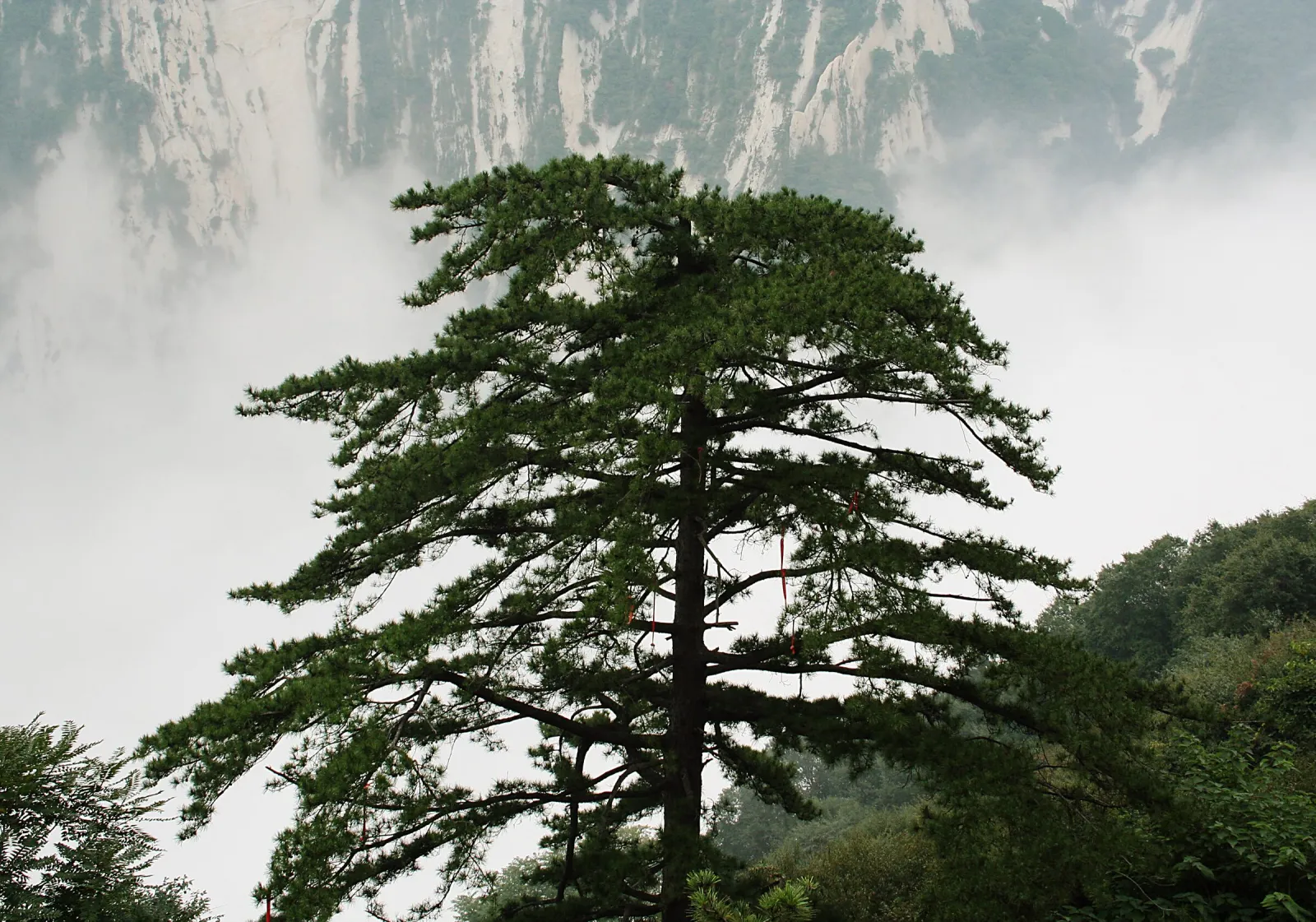 Mount Hua